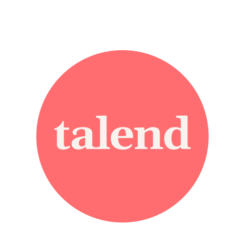 Talend Data Quality Logo